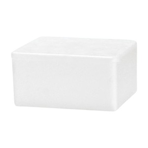 CAIXA TÉRMICA 1KG - ISOTERM