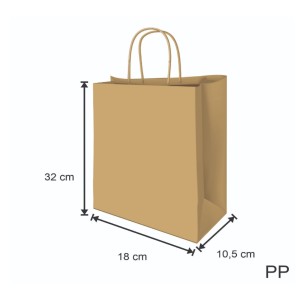 SACOLA KRAFT 10UN - (PP1) - MED.18X10X32CM